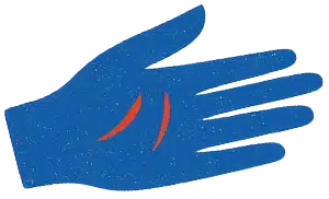 main_bleue_droite