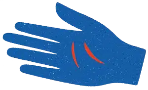 main_bleue_gauche